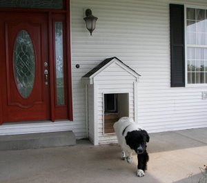 dog door