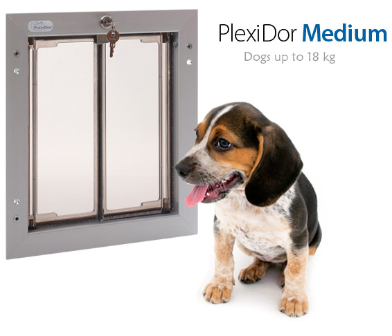 Plexidor Medium - Dogs up to 18 kg